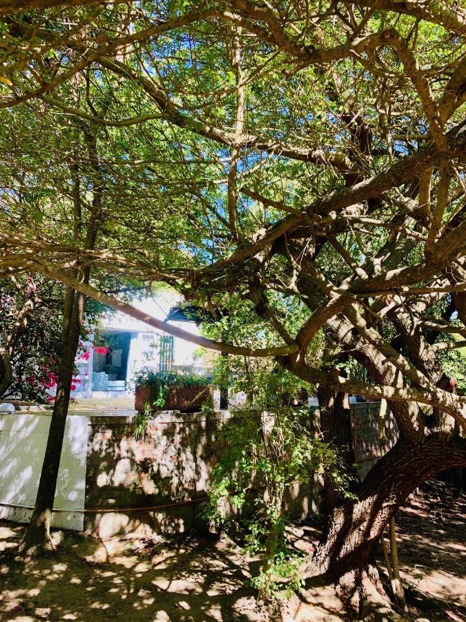 The Little Hideaway Guesthouse Stellenbosch Exterior photo