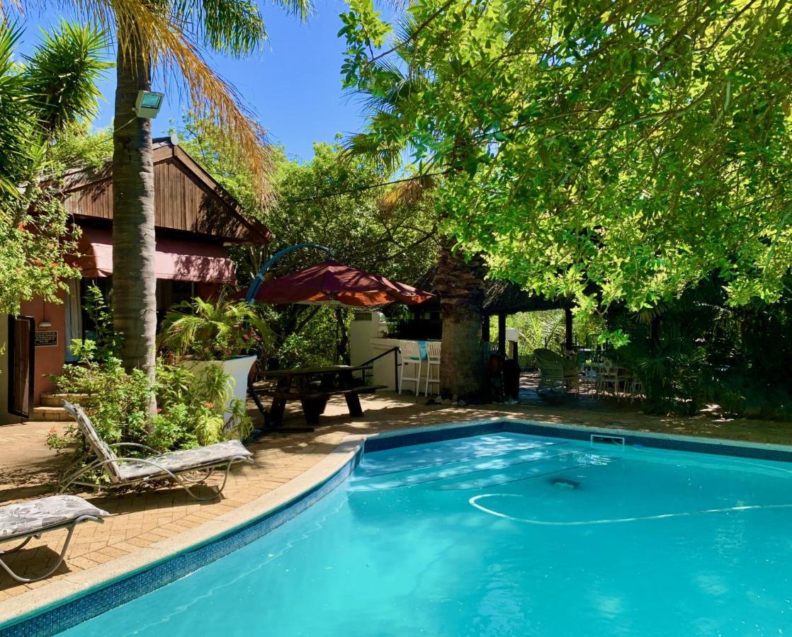 The Little Hideaway Guesthouse Stellenbosch Exterior photo