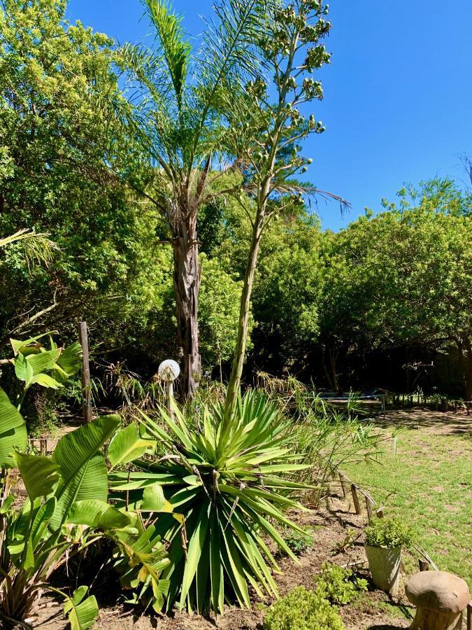 The Little Hideaway Guesthouse Stellenbosch Exterior photo